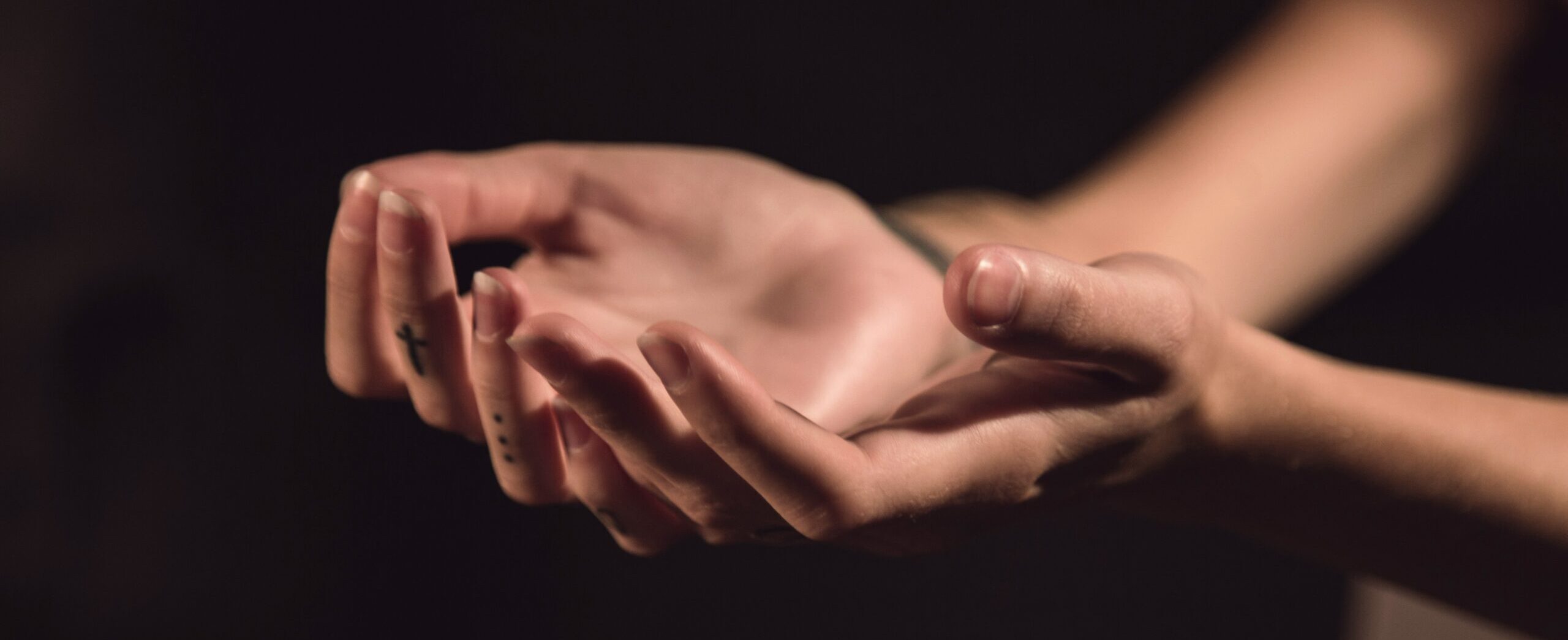 milada-vigerova-iQWvVYMtv1k-unsplash